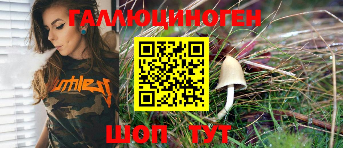 Псилоцибиновые грибы Psilocybe  Вход с VPN  Сафоново 