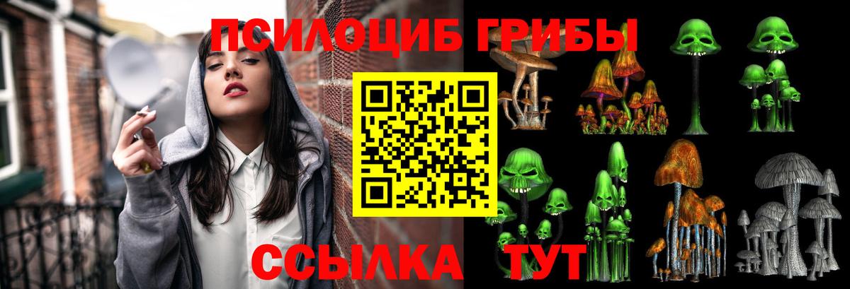 Галлюциногенные грибы MAGIC MUSHROOMS Сафоново